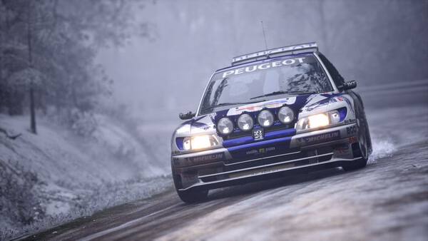 Screenshot from Assetto Corsa Rally showing a rally car navigating a snowy, forested track at high speed.